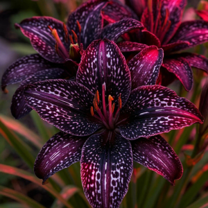 Лилейник Вояж купить по цене от 699р. в интернет-магазине «Посадика» с доставкой почтой в в Железнодорожныйе и по всей России – [изображение №1].