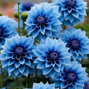 Георгин Вижапе купить по цене от 699р. в интернет-магазине «Посадика» с доставкой почтой в в Железнодорожныйе и по всей России – [изображение №1].